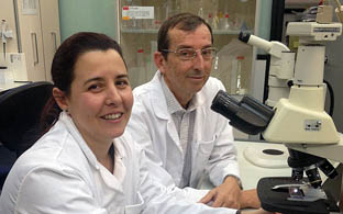 Los  investigadores José Manuel García-Verdugo y Susana González-Granero.